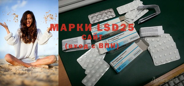 ГАЛЛЮЦИНОГЕННЫЕ ГРИБЫ Медногорск