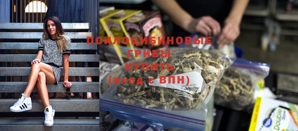 ГАЛЛЮЦИНОГЕННЫЕ ГРИБЫ Медногорск