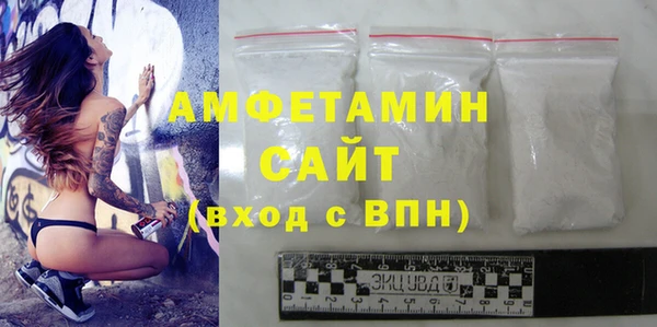 гашик Мегион