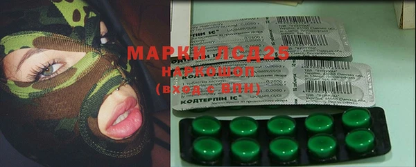гашик Мегион