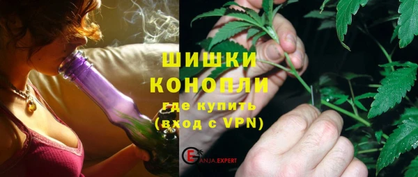 ГАЛЛЮЦИНОГЕННЫЕ ГРИБЫ Медногорск