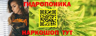 бошки Дубна